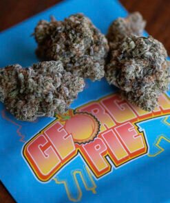 Buy Georgia Pie strain GEORGIA PIE 5