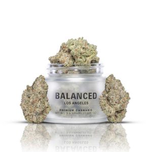 Balanced Los Angeles | Blueberry Crunch