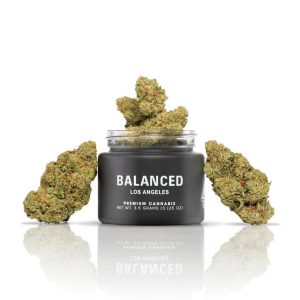 Balanced Los Angeles | Bodhi OG