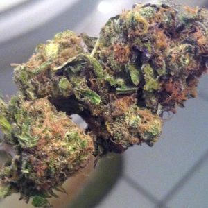 God’s Gift strain