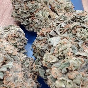 Gorilla Bomb Sativa Hybrid